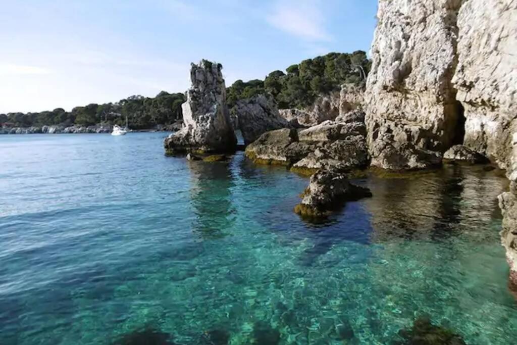 Coeur De Juan, Calme, 300M Plages - Easy Check-In Antibes Exterior photo